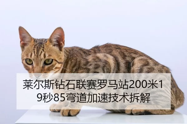 莱尔斯钻石联赛罗马站200米19秒85弯道加速技术拆解