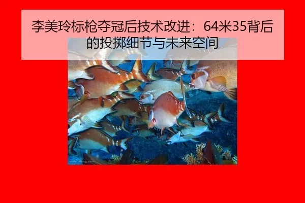 li-mei-ling-biao-qiang-duo-guan-hou-ji-shu-gai-jin-mi-bei-hou-de-tou-zhi-xi-jie-yu-wei-lai-kong-jian-2-939.jpg